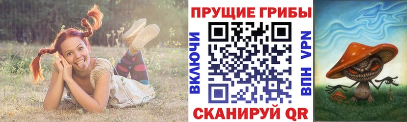 Купить  Спасск  Галлюциногенные грибы ЛСД 